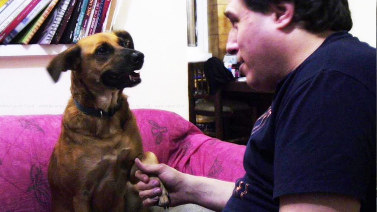 דדי הגולש במופע סטנדאפ - 073-7829396