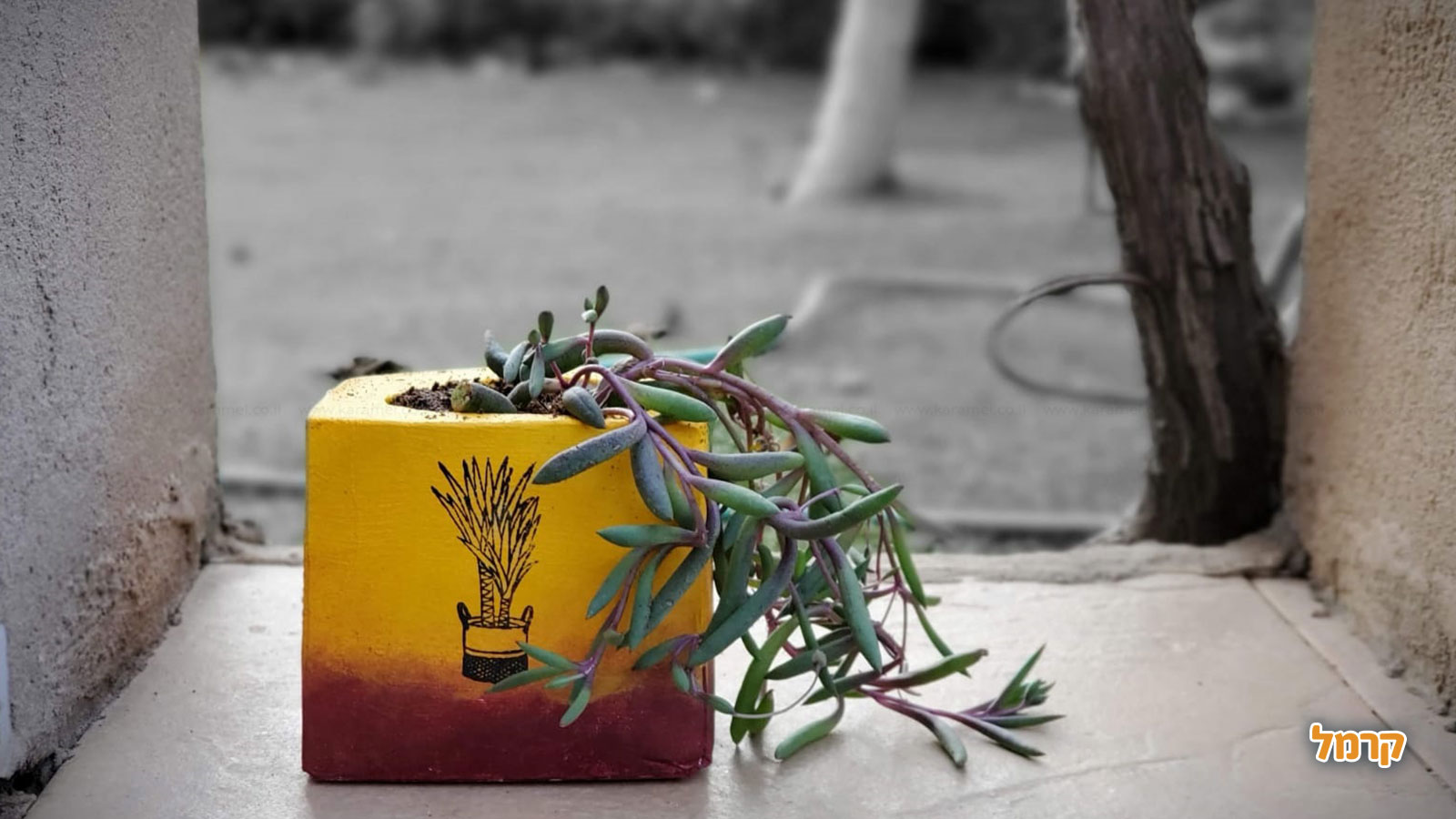 בטונא'ש מוצרי בטון בנימה אישית - 073-7834270