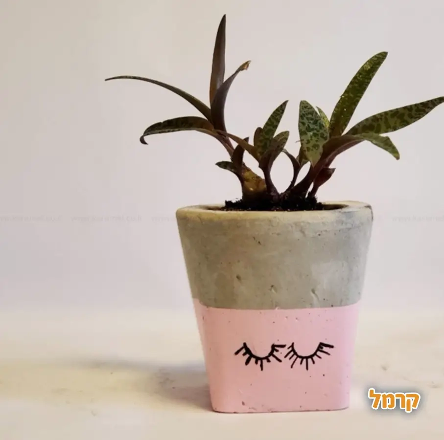 בטונא'ש מוצרי בטון בנימה אישית - 073-7834270