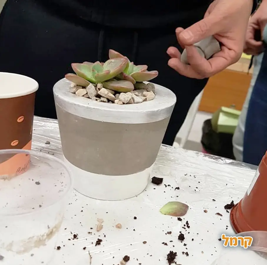 בטונא'ש מוצרי בטון בנימה אישית - 073-7834270