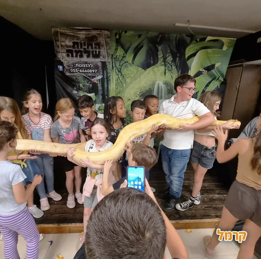 החיות של שלמה - 073-7026361