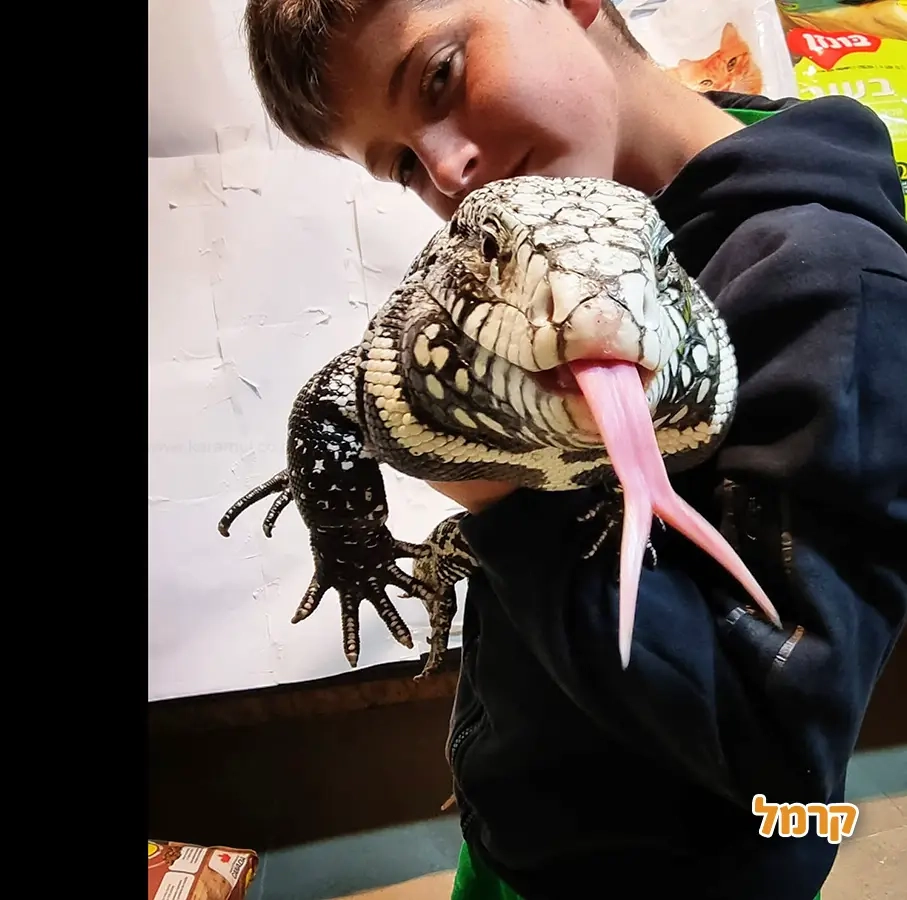 החיות של שלמה - 073-7026361
