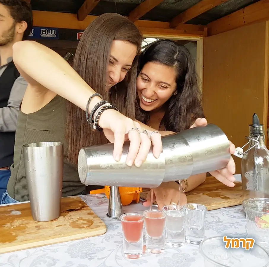 Mixta cocktails - חגיגת קוקטיילים - 073-7026214