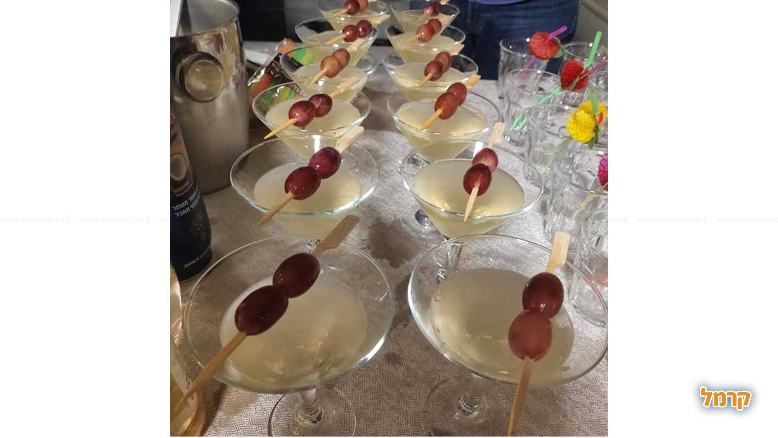 חגיגת קוקטיילים ומשחקי אלכוהול - 073-7025415