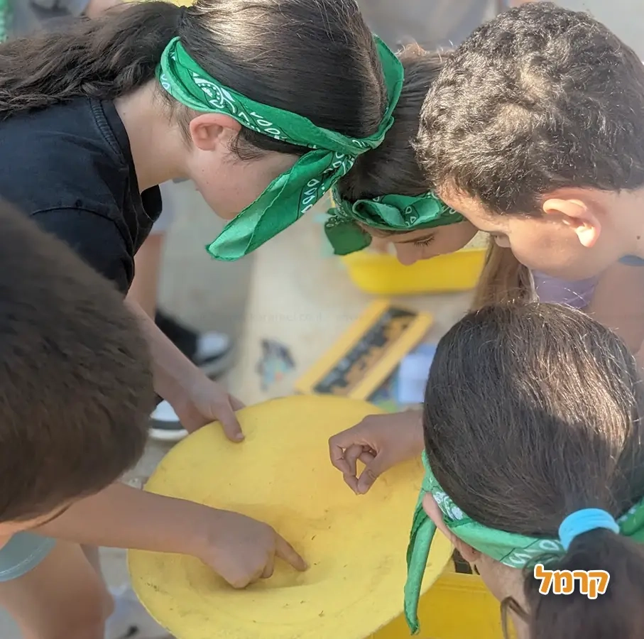 האי של יעל - המירוץ למליון והישרדות - 073-7842346