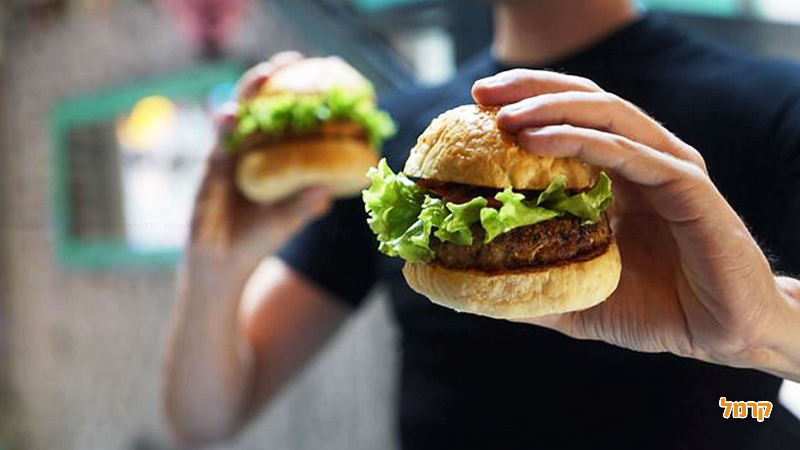 הממלכה של ענברי- חגיגת אטרקציות - 073-7756932