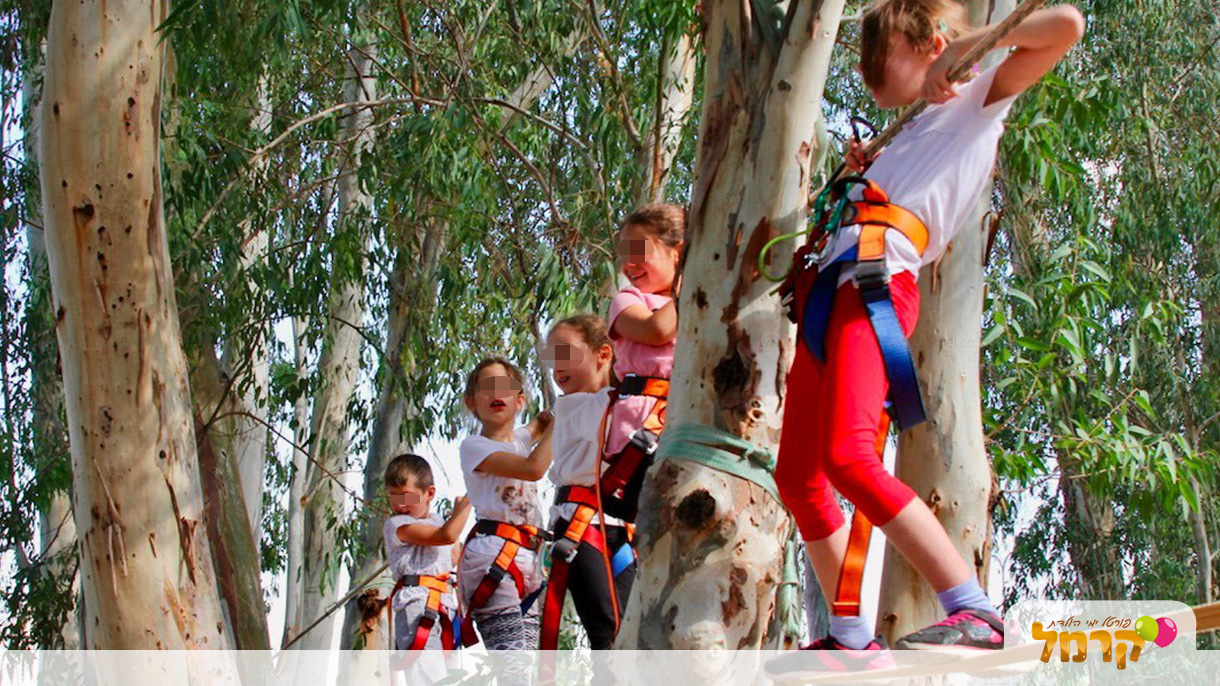 רוברט פעילויות אתגר - 073-7576417