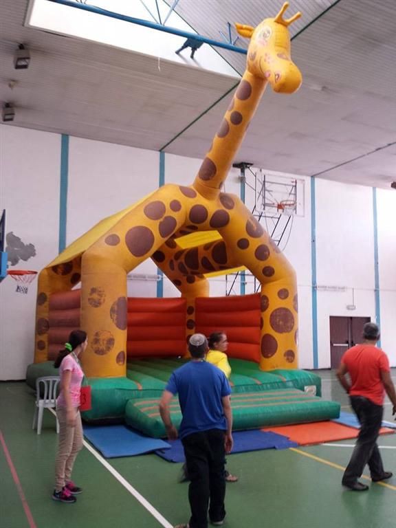 יהלי לנד - 0737581988